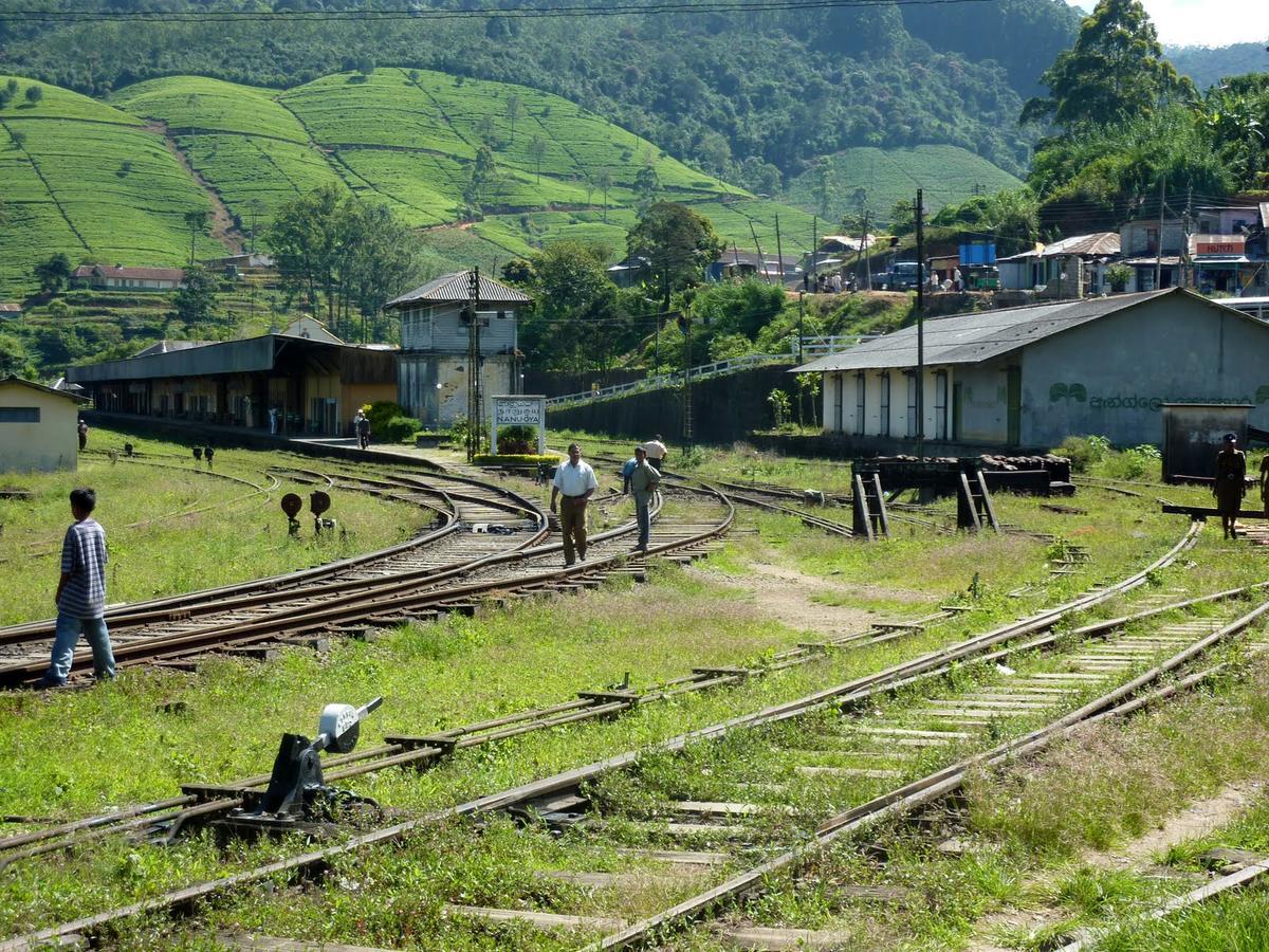 The Train View Bed & Breakfast Nuwara Eliya Luaran gambar